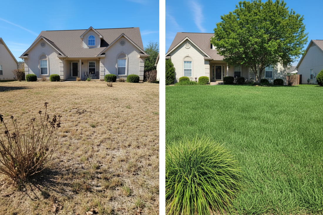 Drought Tolerant Grass Seed: The Complete Guide for American Homeowners in 2026