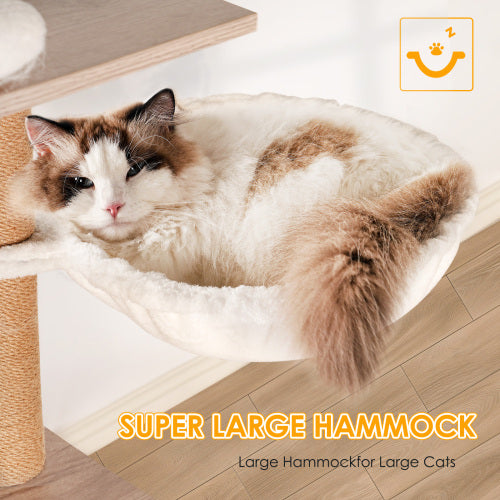 Super large hammock for large cats close-up fluffy cat lounging
