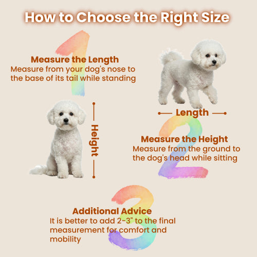 44.6" Corner Dog Crate Furniture with Drawer | Space-Saving White Dog Kennel End Table