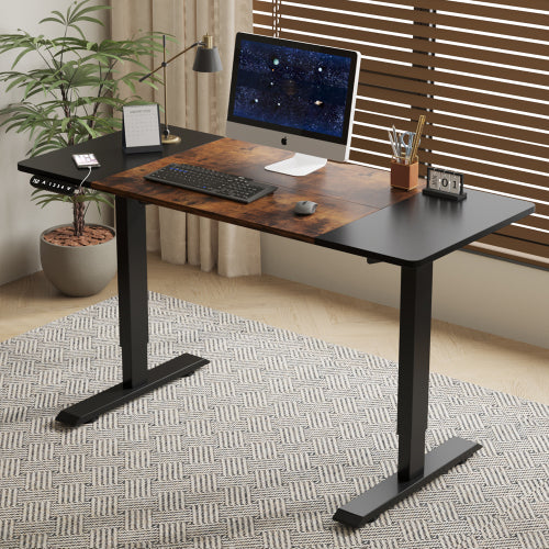 55" Electric Standing Desk - Height Adjustable Sit Stand Desk for Home Office & Gaming